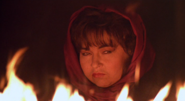 Roseanne Barr in She-Devil