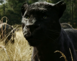 Box Office USA: Disney continua a ruggire con Il libro della giungla