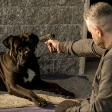 Falchi: Fortunato Cerlino in un momento del film