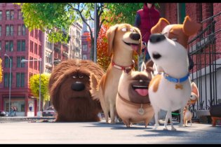 Pets - Vita da animali - Terzo trailer italiano