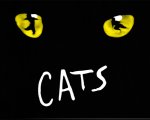 Cats: il musical potrebbe diventare un film diretto da Tom Hooper