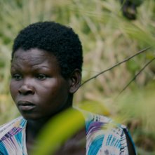 Wrong Elements: un primo piano del documentario