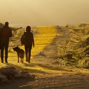 Emerald City: i protagonisti in cammino nella Terra di Oz