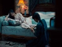 Mademoiselle: con Park Chan-wook sesso, amore e colpi di scena