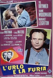 Locandina di L'urlo e la furia