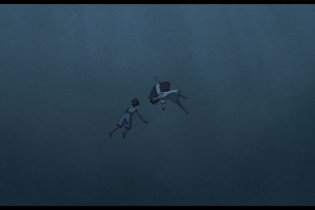 La Tortue Rouge - Trailer