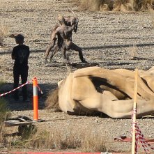 3467429C00000578 3600337 Hell On Earth The Sensational Pictures Were Snapped In The New S A 38 1463727143889