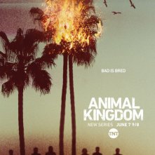 Animal Kingdom: la locandina della serie