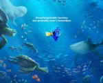 Alla ricerca di Dory: un nuovo emozionante trailer del film Pixar