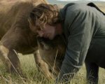 The Legend of Tarzan: i primi 20 minuti nella giungla