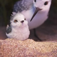 Piper: un'immagine del corto Pixar