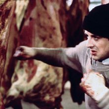 Rocky: Sylvester Stallone si allena tra i quarti di bue
