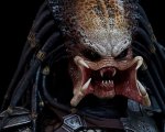 The Predator: svelata la data di inizio riprese