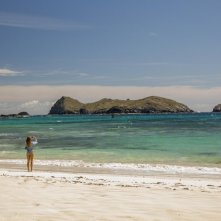 Paradise Beach - Dentro l'incubo: Blake Lively in un momento del film