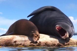 Finding Dory - Clip 'Sea Lion Assurance'