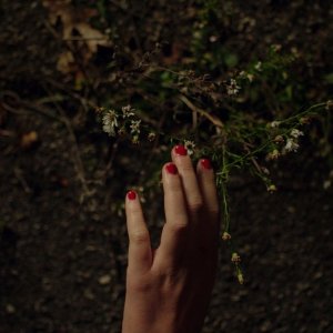 It Follows: un'immagine tratta dal film