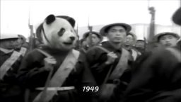 Sneezing Baby Panda - Trailer italiano