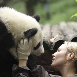 Sneezing Baby Panda: Amber Clayton insieme al panda in una scena del film