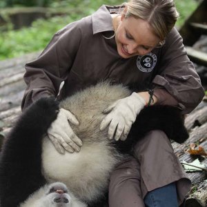Sneezing Baby Panda: Amber Clayton scherza con il panda in un momento del film
