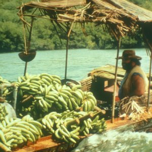 Banana Joe: Bud Spencer in un'immagine del film