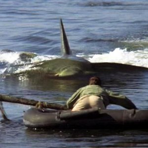 Una scena di Lo squalo 2