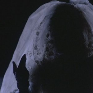 Il serpente e l'arcobaleno - una scena del film