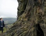 A Monster Calls supera Pets ed è il film più visto del 2016 in Spagna