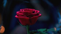 La Bella e la Bestia - Teaser Trailer Italiano 