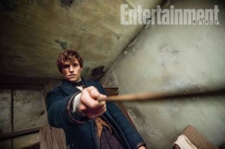 Animali Fantastici e Dove Trovarli: una nuova foto di Eddie Redmayne