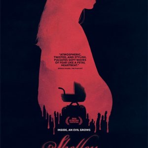 Locandina di Shelley