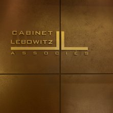 Lebowitz vs Lebowitz: un'immagine della serie