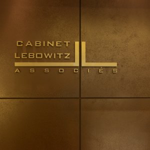 Lebowitz vs Lebowitz: un'immagine della serie