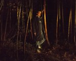 Narcos: diffuso il trailer della seconda stagione