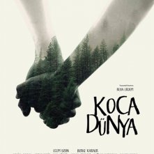 Locandina di Big Big World