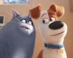 Pets  - Vita da animali, i produttori annunciano il sequel