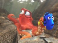 Crescere con la Pixar: alla ricerca di se stessi con Nemo, Dory e gli altri piccoli eroi