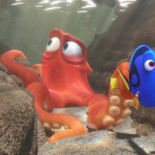 Alla ricerca di Dory: un'immagine del film d'animazione