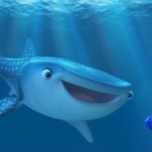 Alla ricerca di Dory: un'immagine del film animato