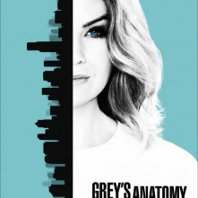 Grey's Anatomy: un poster per la tredicesima stagione