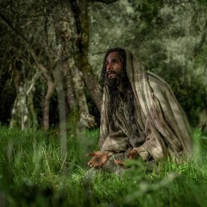 Ben-Hur: Rodrigo Santoro in una scena del film