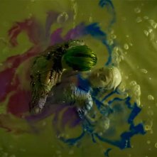 Suicide Squad: amore nell'acido per Joker / Jared Leto e Margot Robbie/ Harley Quinn