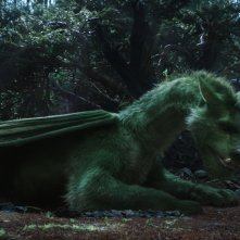 Il drago invisibile: Oakes Fegley con Elliott in una scena del film