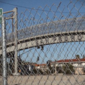 You Never Had It. An Evening with Bukowski: un'immagine del documentario