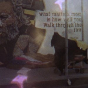 You Never Had It. An Evening with Bukowski: un'immagine tratta dal documentario