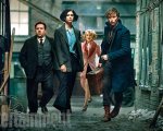 Animali Fantastici e Dove Trovarli: ecco il tema musicale del film