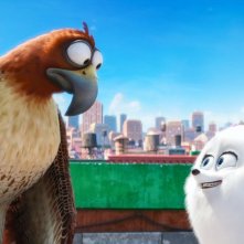 Pets - Vita da animali: una scena del film d'animazione