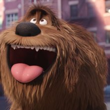 Pets - Vita da animali: una scena del film animato