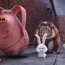Pets - Vita da animali: un momento del film animato