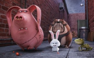 Pets - Vita da animali: un momento del film animato
