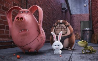 Pets - Vita da animali: un momento del film animato